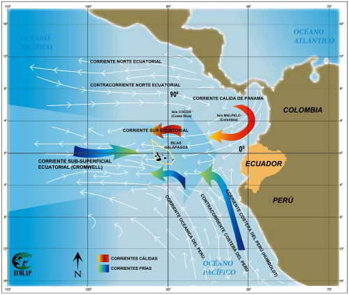 GALAPAGOS ISLANDS MARINE RESERVE: The origins of the currents surrounding Galapagos.