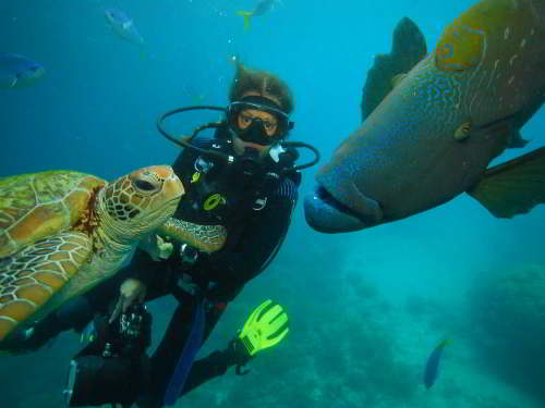 5 - 6 DAY GALAPAGOS NATIONAL PARK ADVENTURE TOURS COSTS [2026]: Scuba Gear is available for rent, so you don't have to bring your own.
